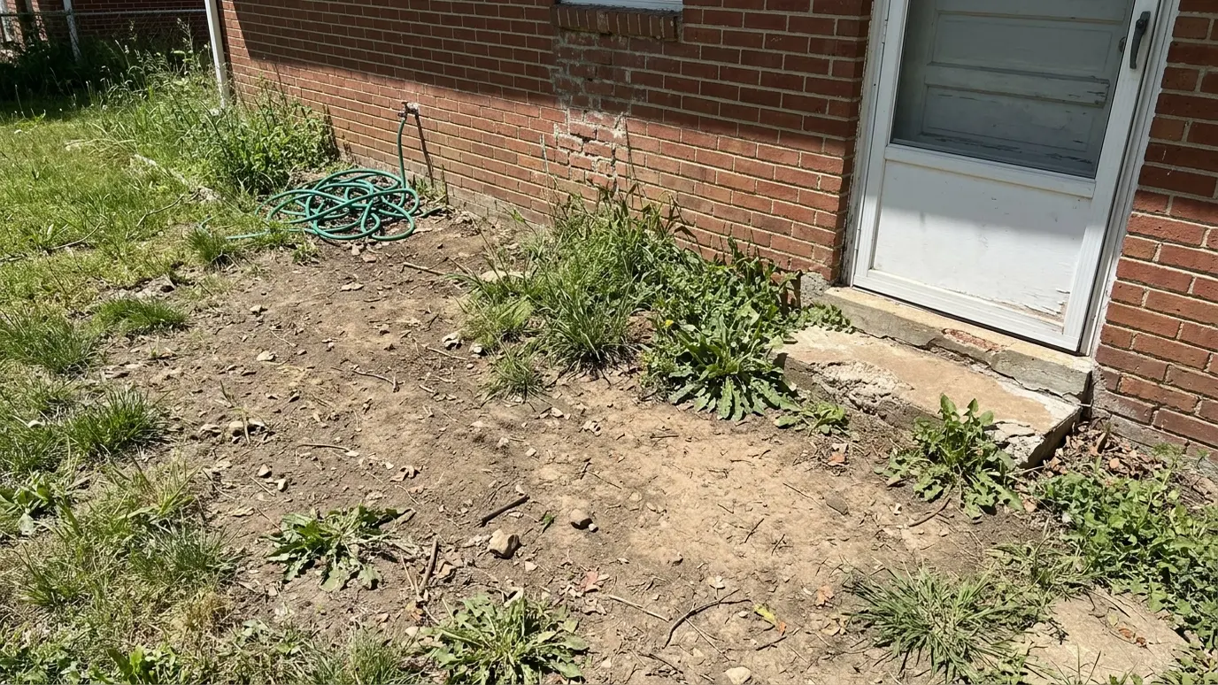 Before: a backyard beside a brick house with bare dirt and weeds beside the back door